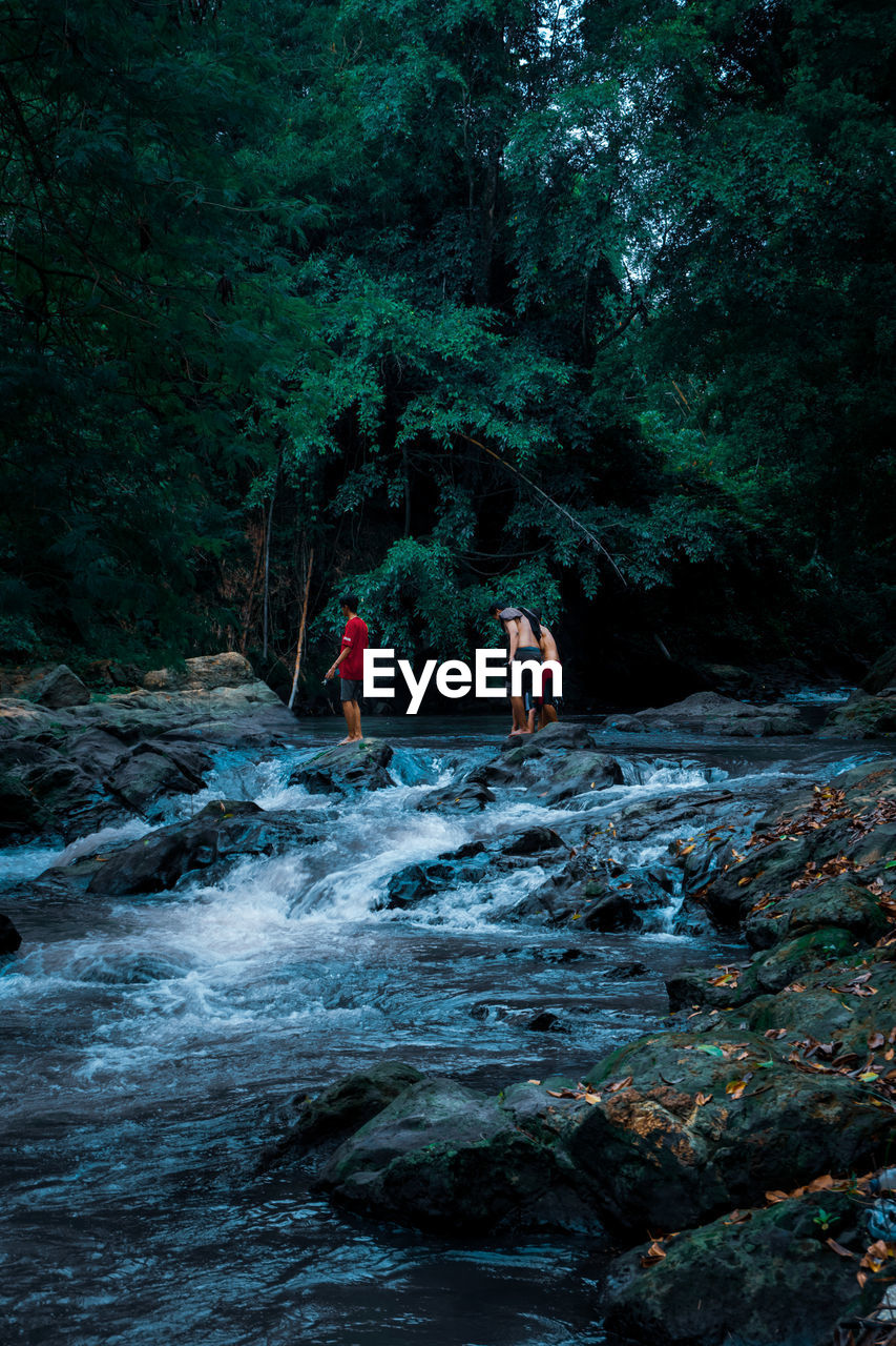 PEOPLE ON ROCKS IN FOREST