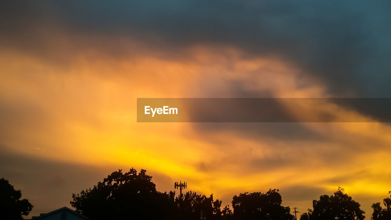 SILHOUETTE TREES AGAINST ORANGE SKY