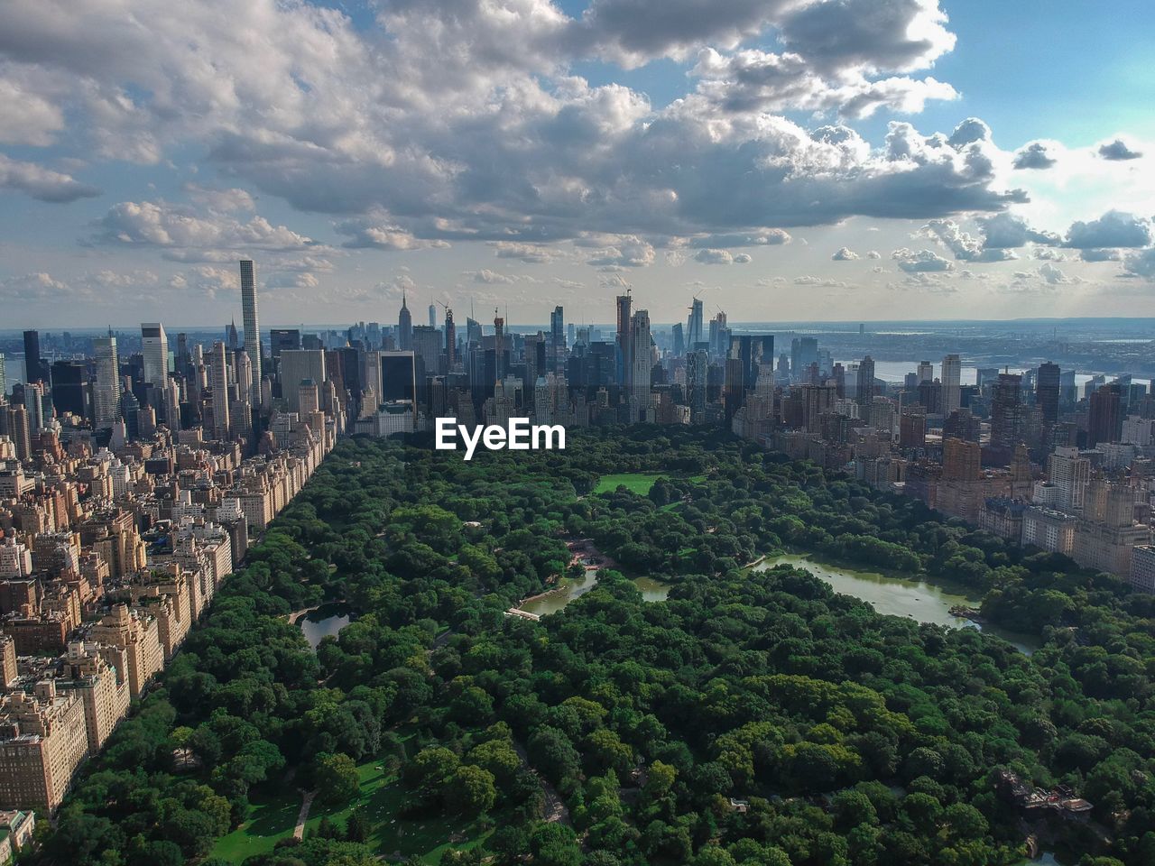 Aerial view of trees and buildings in city