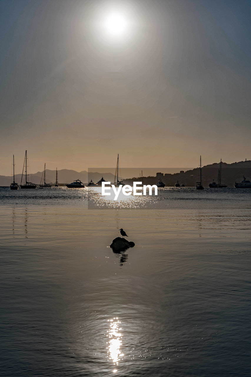 SILHOUETTE MAN ON SEA AGAINST SKY AT SUNSET