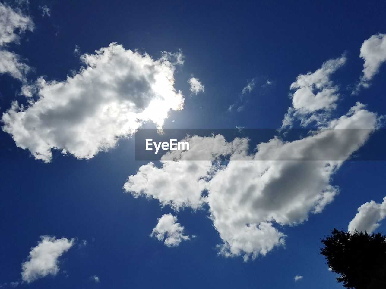 LOW ANGLE VIEW OF BLUE SKY AND CLOUDS IN SUNLIGHT