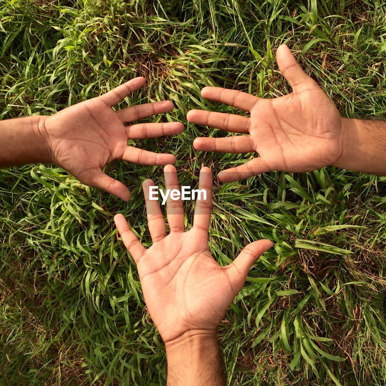 Cropped hands of men over grassy field