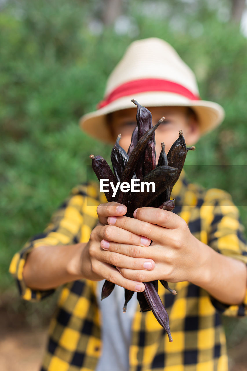 Young boy holding in hands ripe brown carob pods during harvesting season in countryside