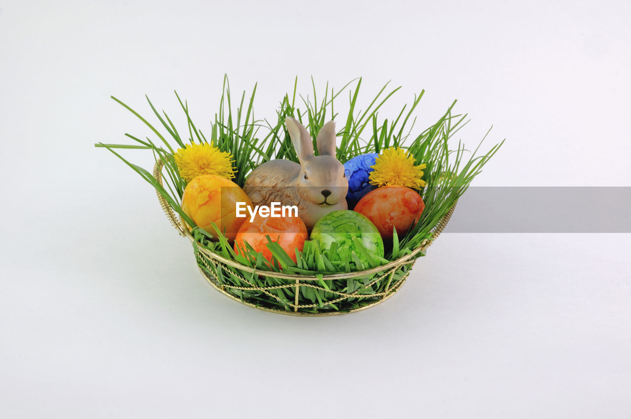 Close-up of easter eggs and bunny in basket over white background