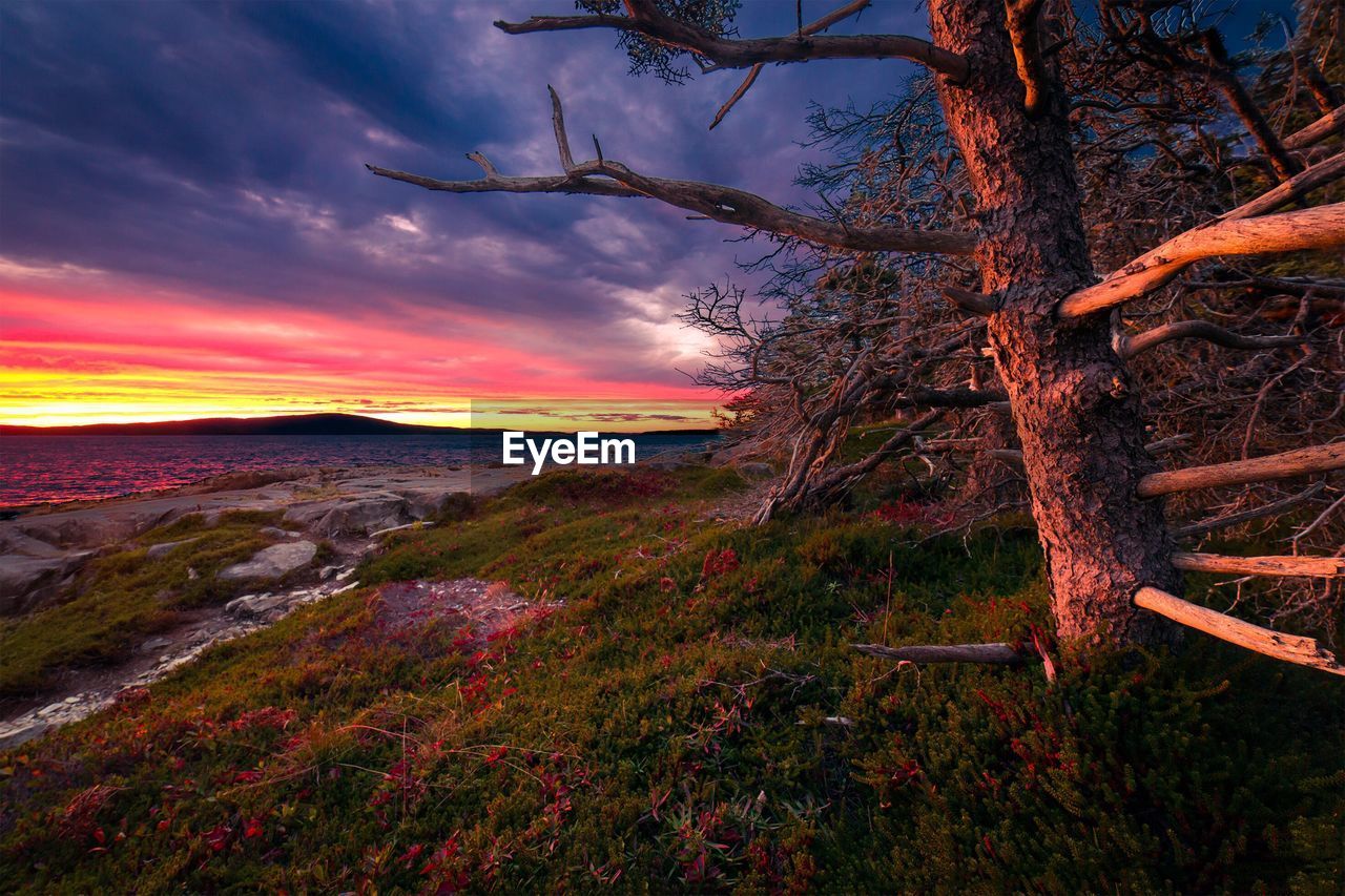 Scenic view of landscape against sky during sunset