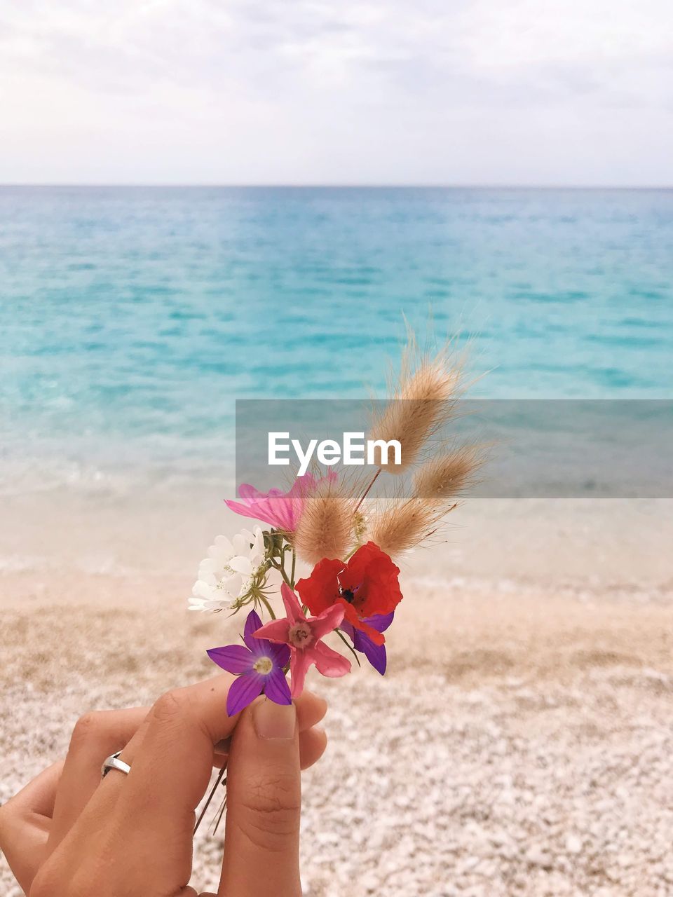 Cropped hand of woman holding flowering plant against sea