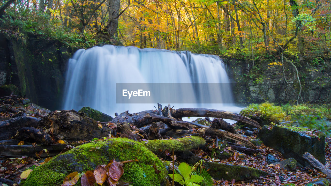 Scenic view of waterfall