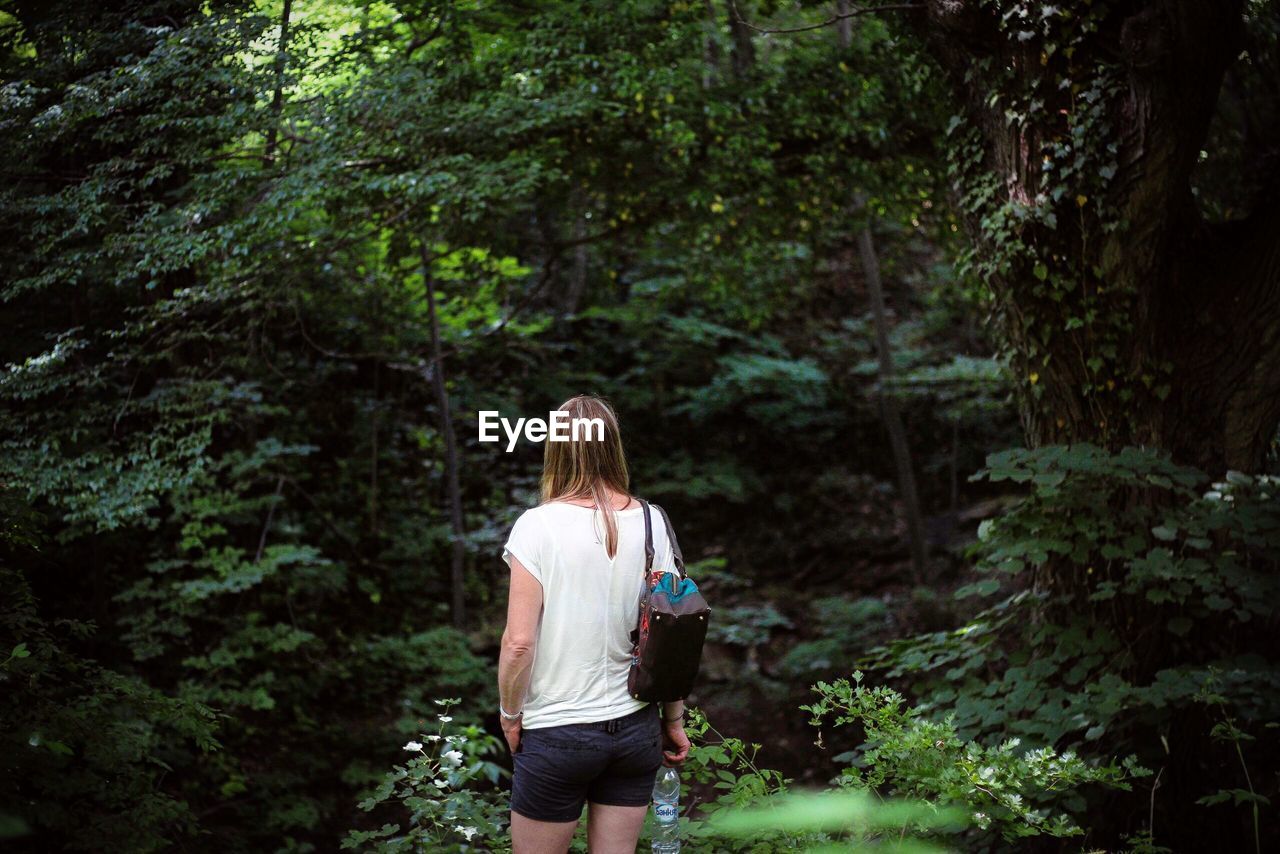 Rear view of woman standing amidst trees at forest