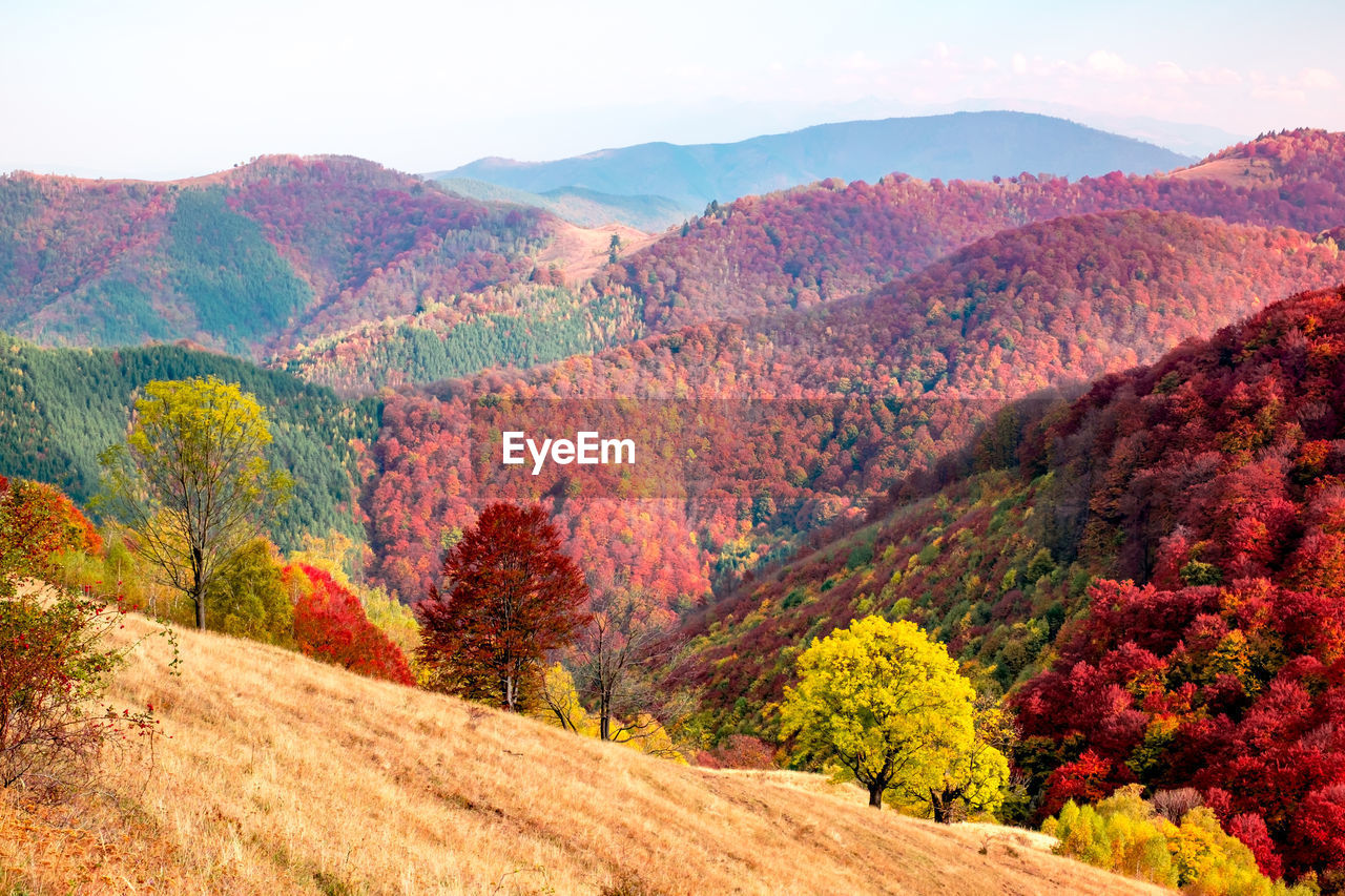 Romanian mountains in autumn season, cindrel mountains, paltinis area, sibiu county, central romania