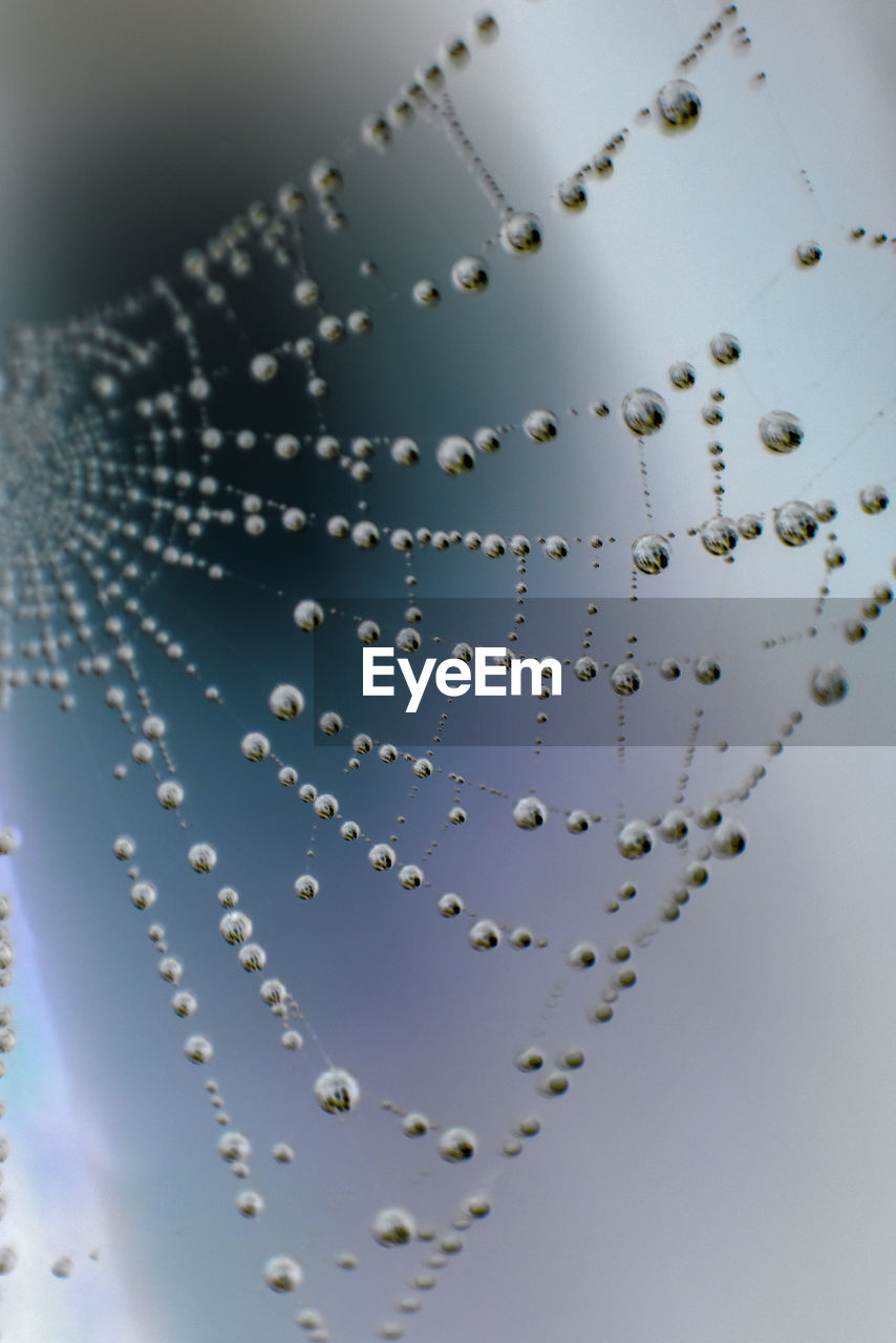 Low angle view of water drops against blue sky