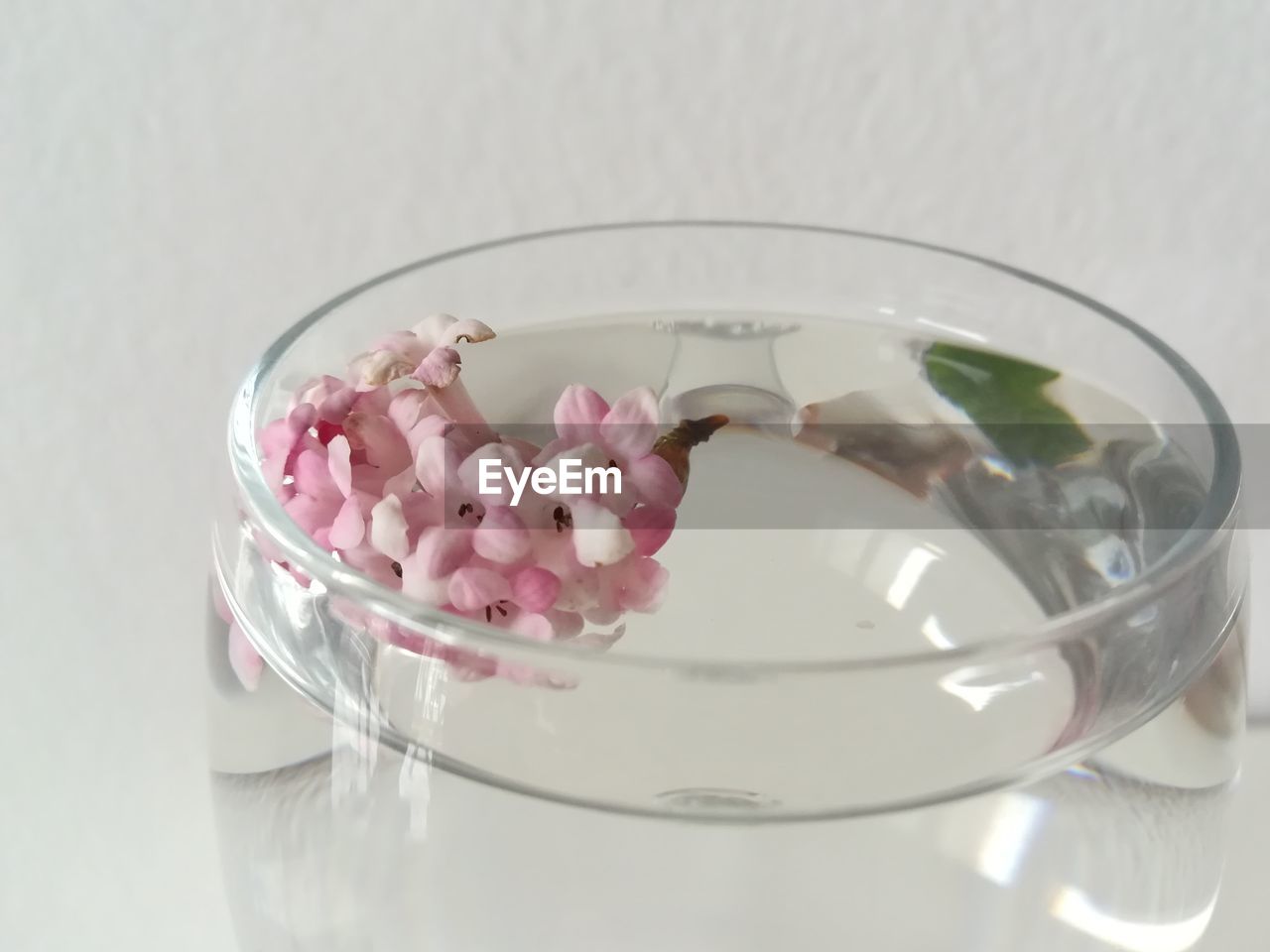 HIGH ANGLE VIEW OF PINK FLOWERS IN GLASS CONTAINER ON TABLE