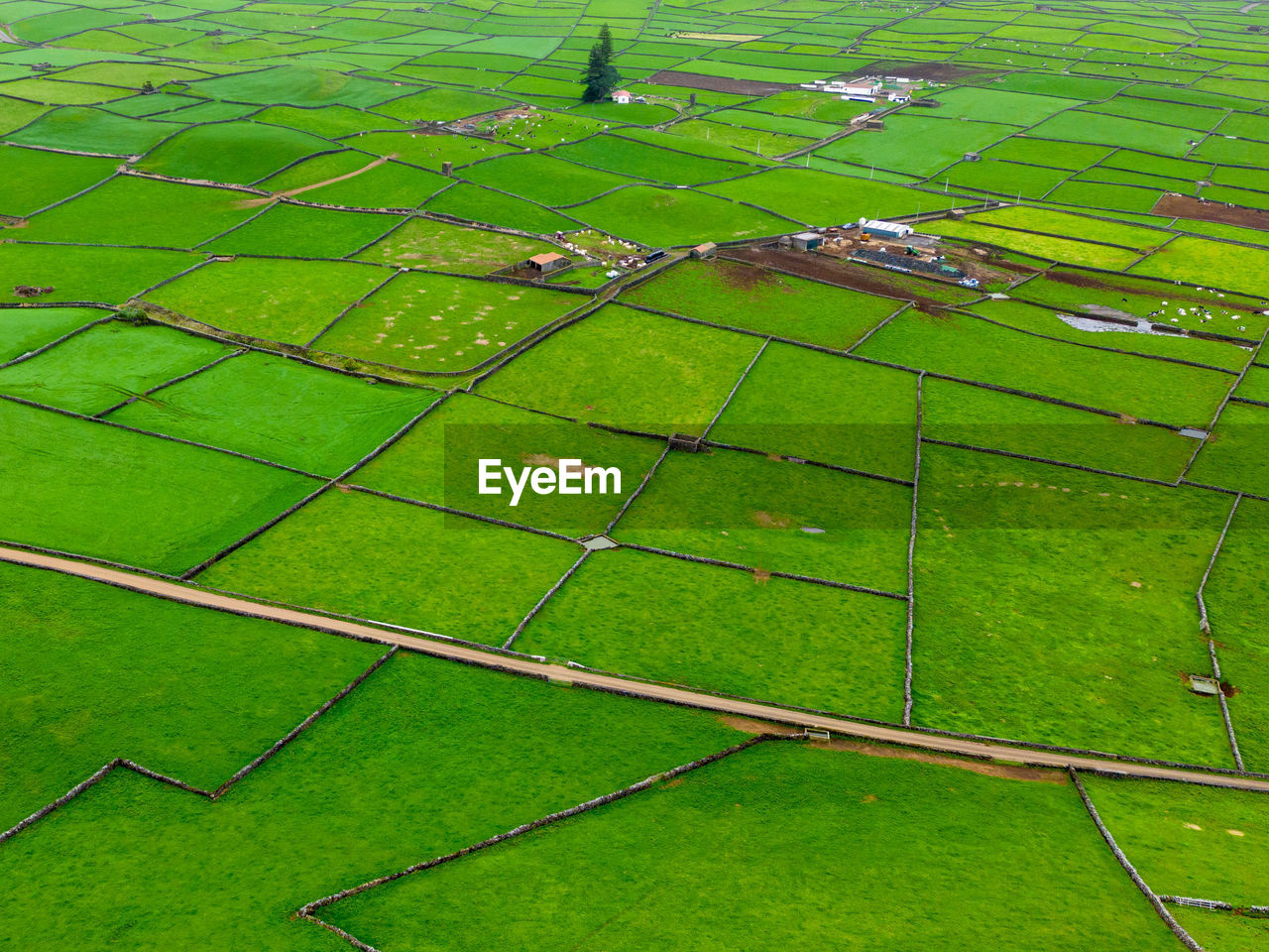 high angle view of field