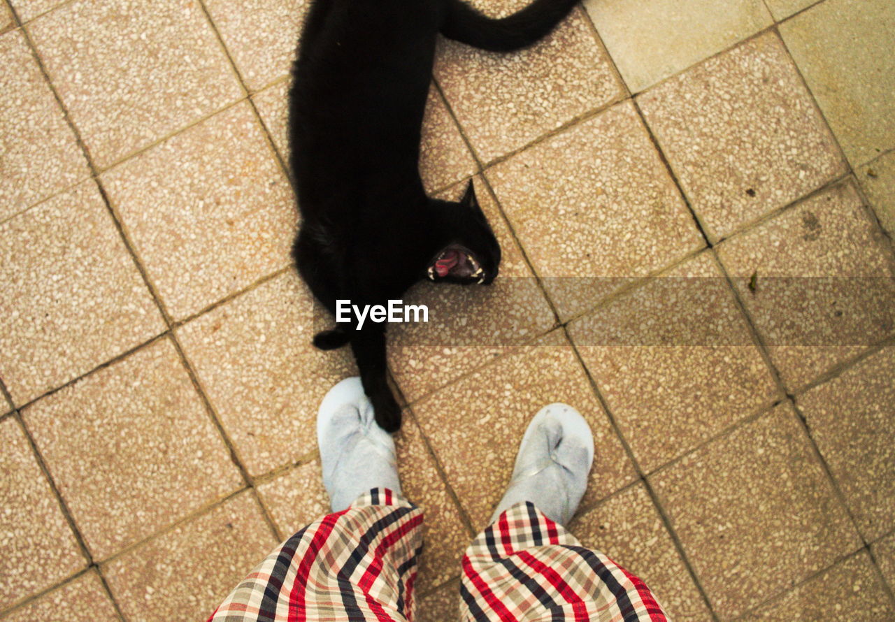 LOW SECTION OF PERSON STANDING ON TILED FLOOR