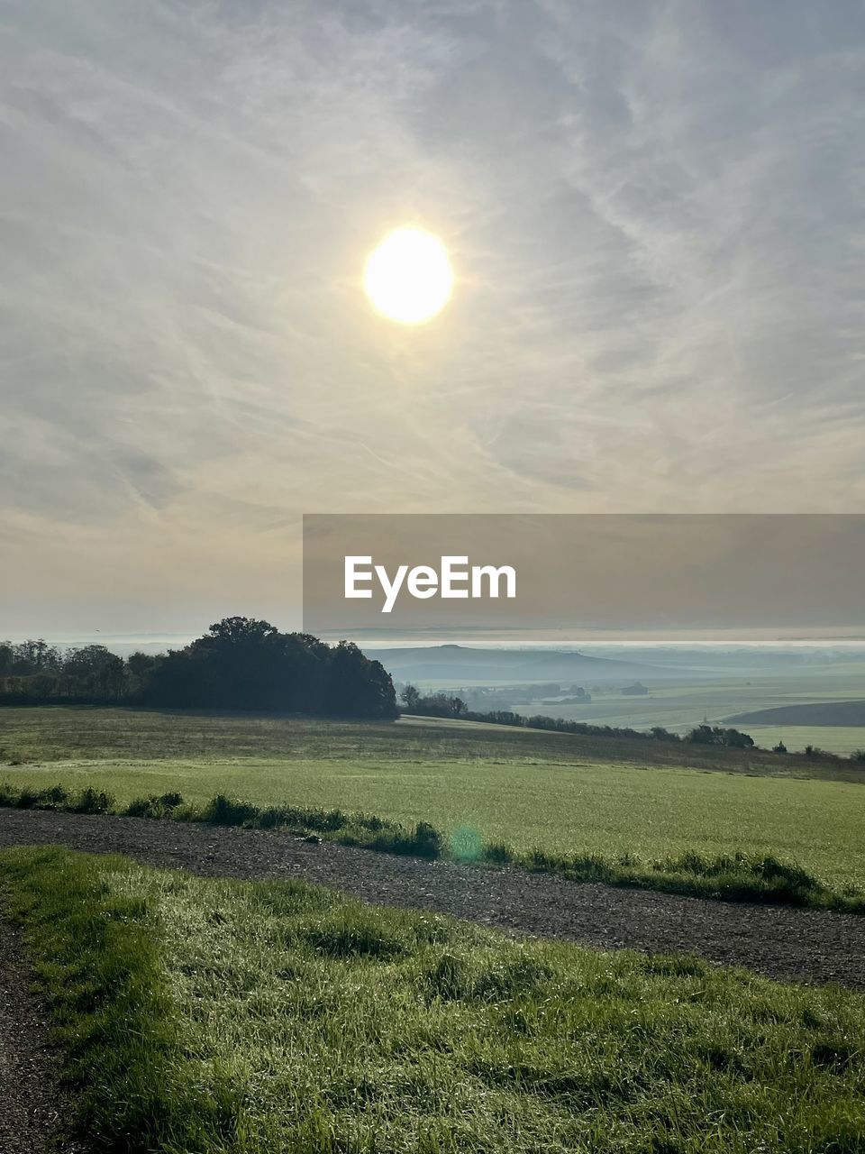 horizon, sky, environment, landscape, scenics - nature, beauty in nature, land, plant, nature, tranquility, field, sun, tranquil scene, cloud, sunlight, morning, no people, rural scene, grass, agriculture, plain, outdoors, hill, water, green, sunbeam, non-urban scene, idyllic, growth, tree, crop, natural environment, prairie, grassland, dawn, dramatic sky, sunrise, day, farm, travel, summer, lens flare