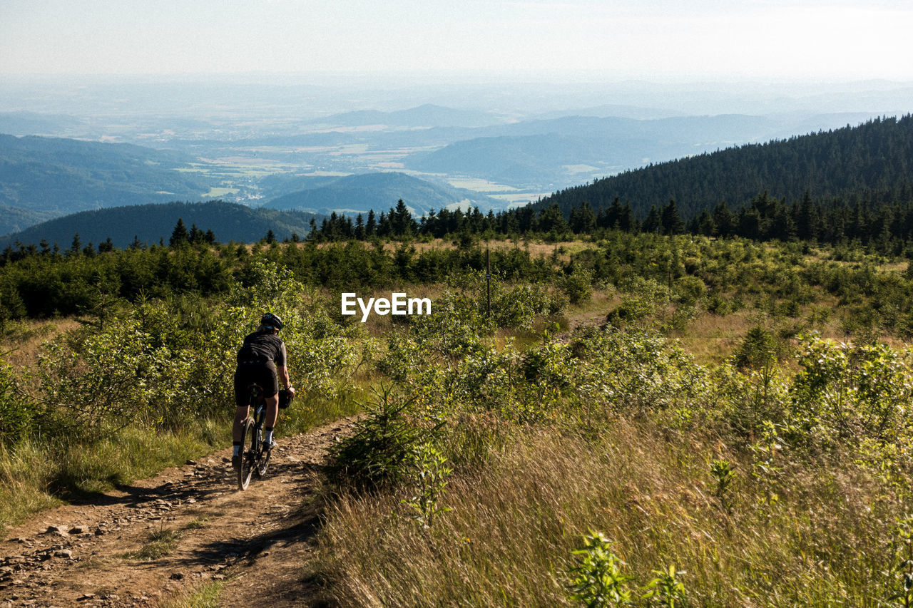 Rear view of woman cycling in forest