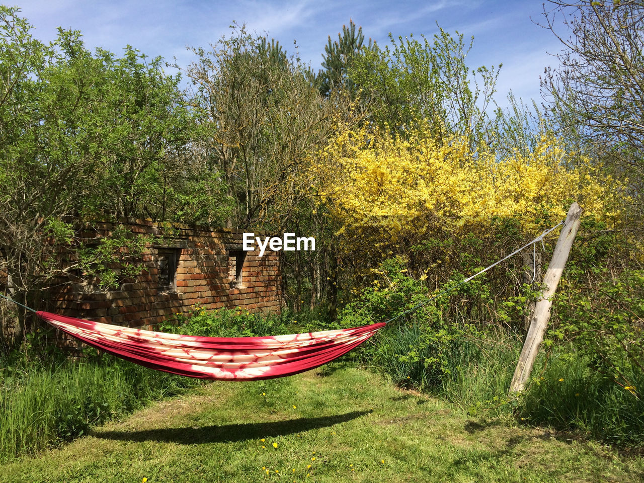 Hammock tied up to wooden post by plants