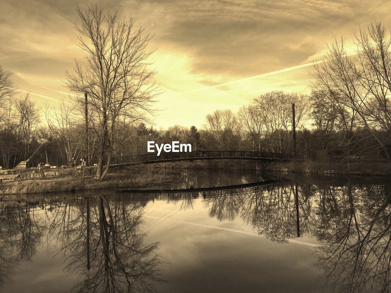 REFLECTION OF TREES IN WATER AT DUSK