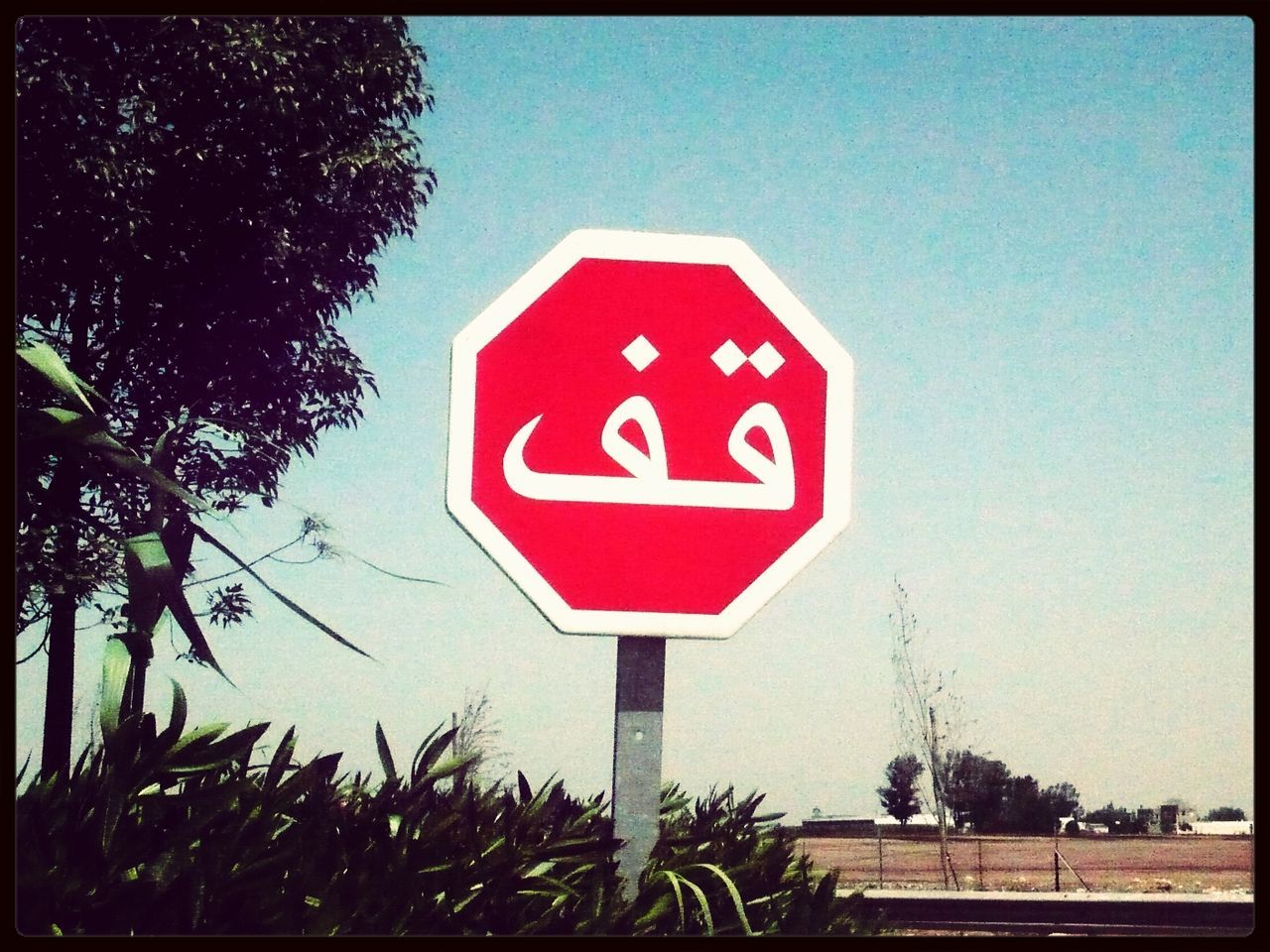 ROAD SIGN IN FRONT OF TREES