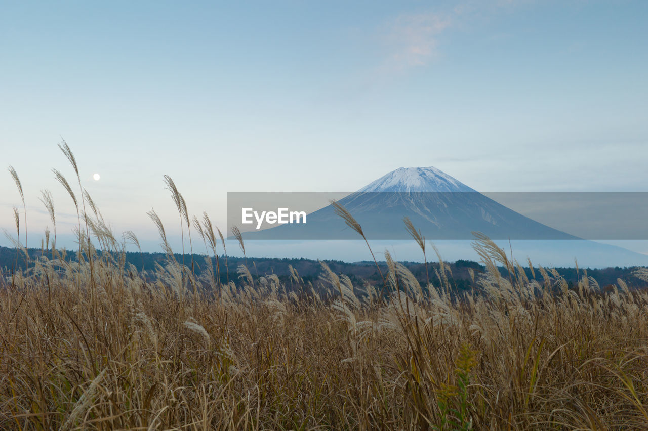 Scenic view of land against sky