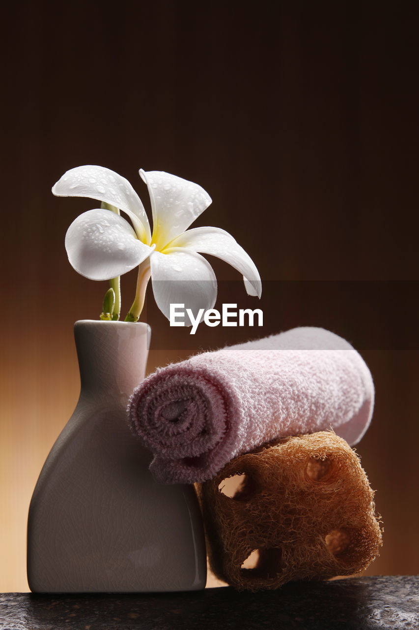 Close-up of flower in vase by towel and bath sponge on table