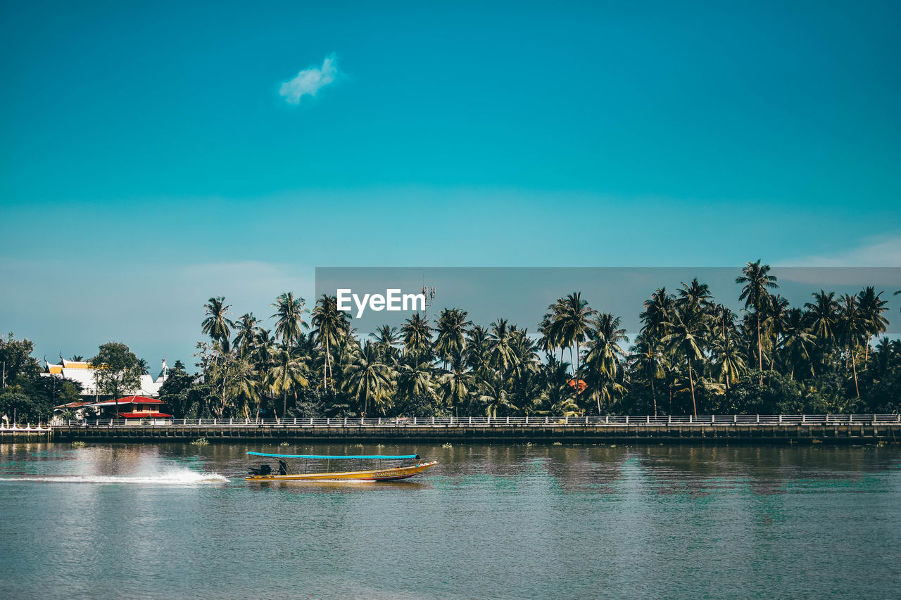 Scenic view of palm trees against blue sky