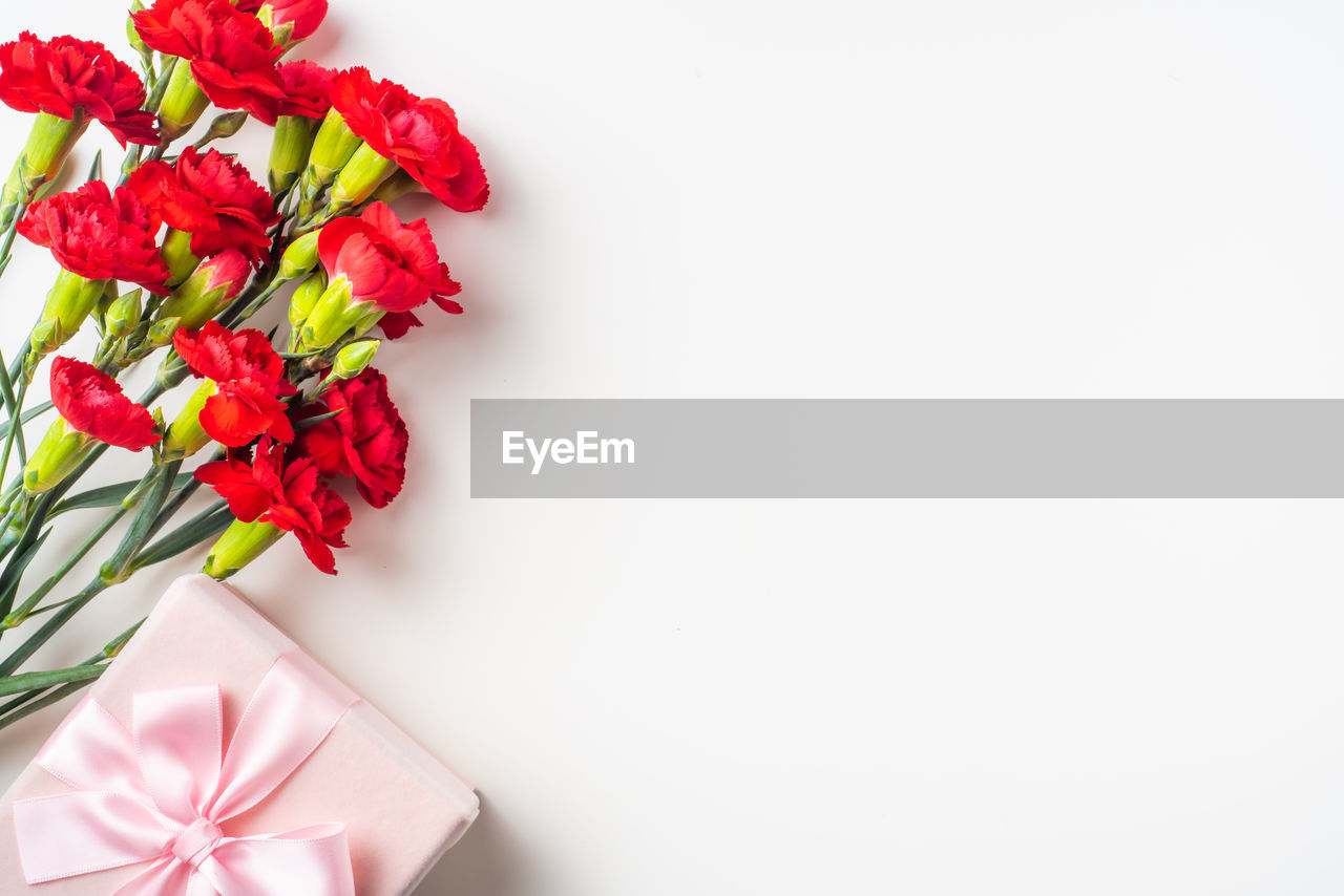 HIGH ANGLE VIEW OF RED FLOWER AGAINST WHITE BACKGROUND