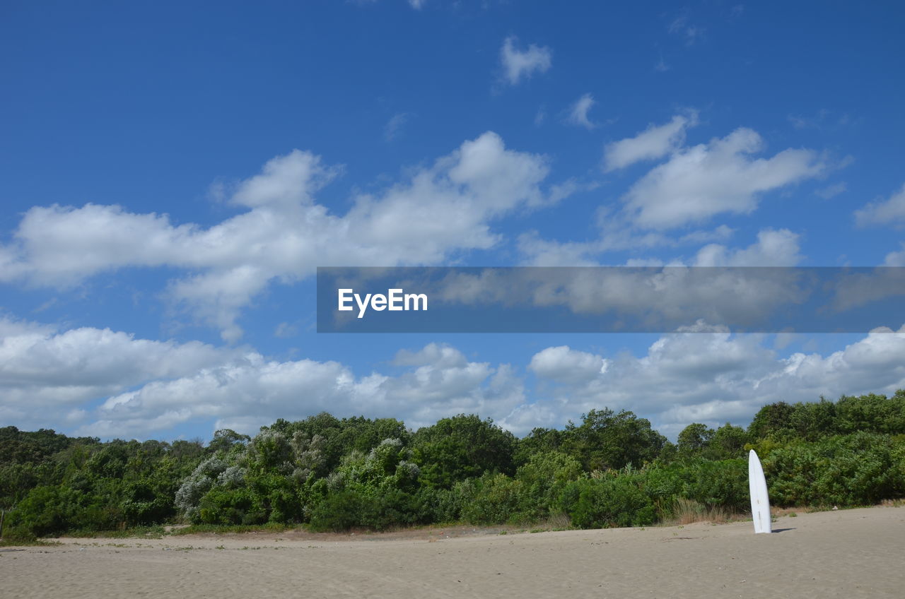 SCENIC VIEW OF TREES AGAINST SKY