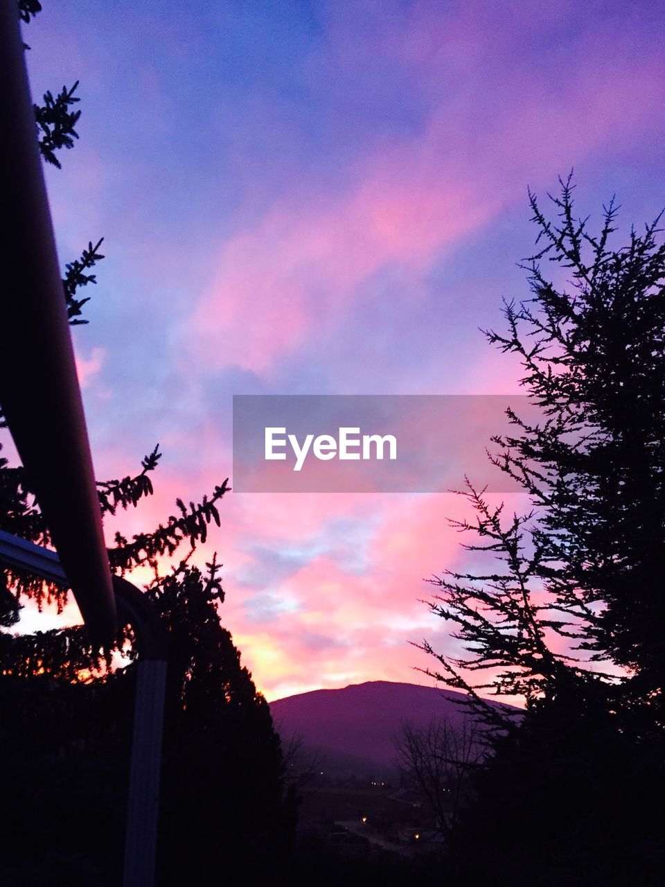 LOW ANGLE VIEW OF SILHOUETTE TREE AGAINST ORANGE SKY