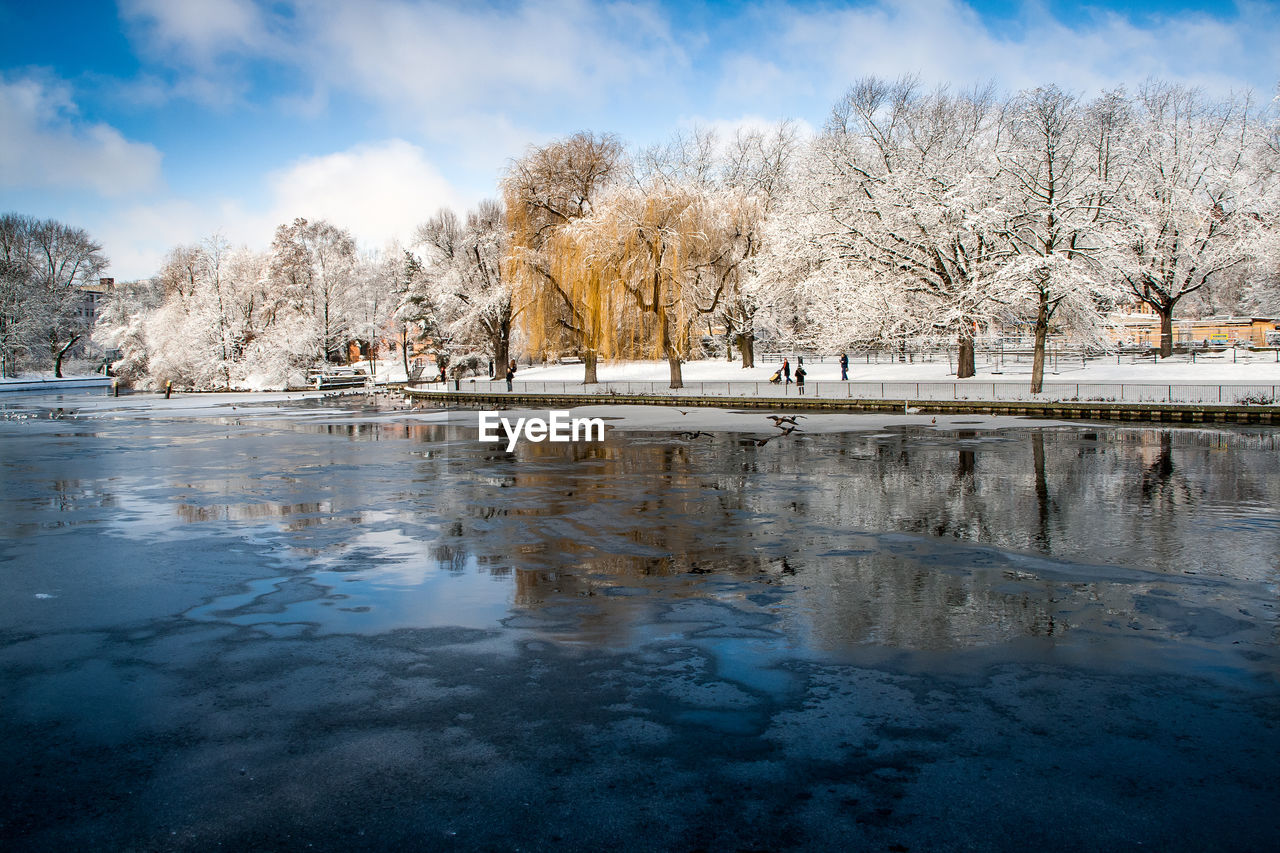 Frozen lake by snow covered bare trees at park