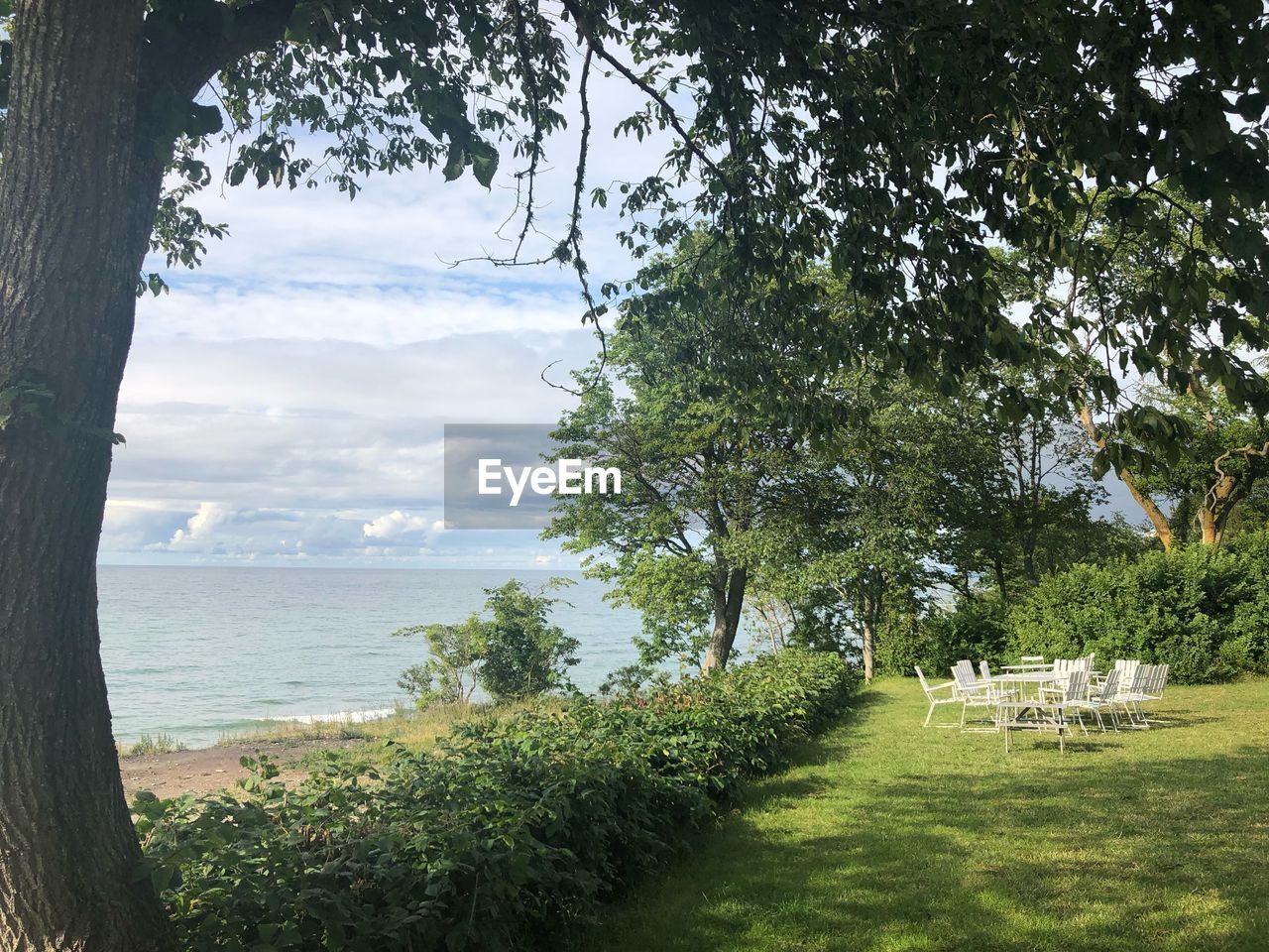 SCENIC VIEW OF SEA AGAINST TREES