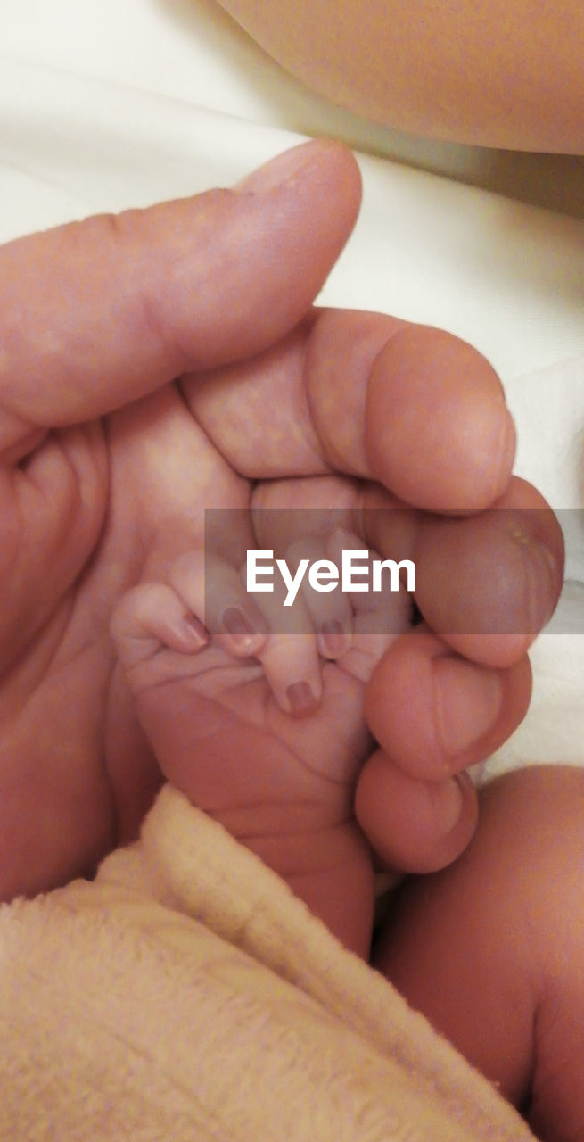 Cropped image of person holding newborn baby hand