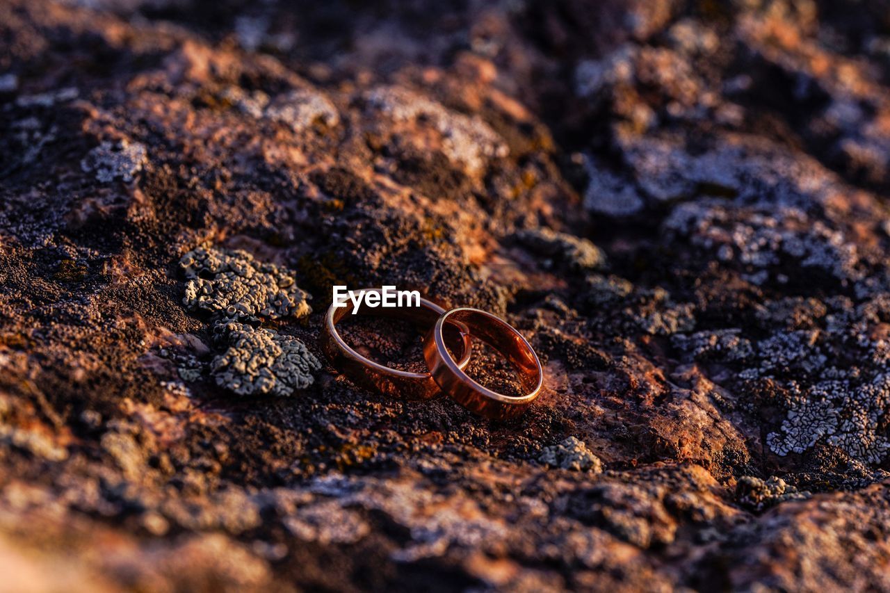 close-up of ring on rock