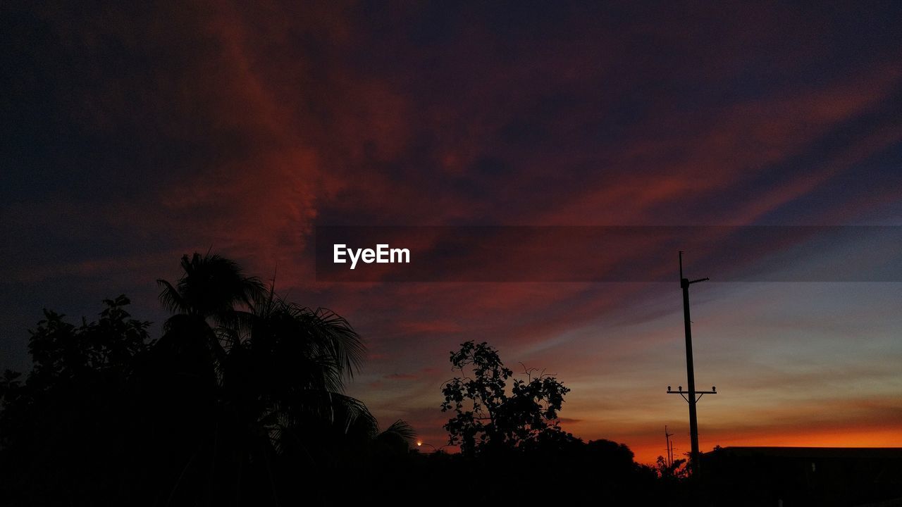Low angle view of silhouette trees against sky at night