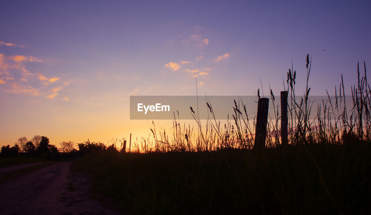 sky, sunset, plant, landscape, horizon, nature, beauty in nature, environment, dawn, evening, scenics - nature, tranquility, land, cloud, silhouette, field, tranquil scene, grass, no people, rural scene, sun, growth, sunlight, idyllic, non-urban scene, agriculture, twilight, outdoors, orange color, multi colored, dramatic sky, crop, cereal plant, tree, back lit, summer, blue, urban skyline, vibrant color, dark, panoramic, afterglow, corn, yellow, romantic sky, prairie, travel, red, travel destinations