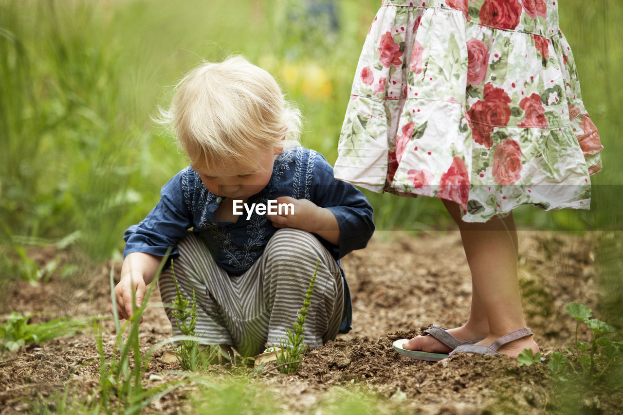 Curious boy looking down while crouching by sister standing on field
