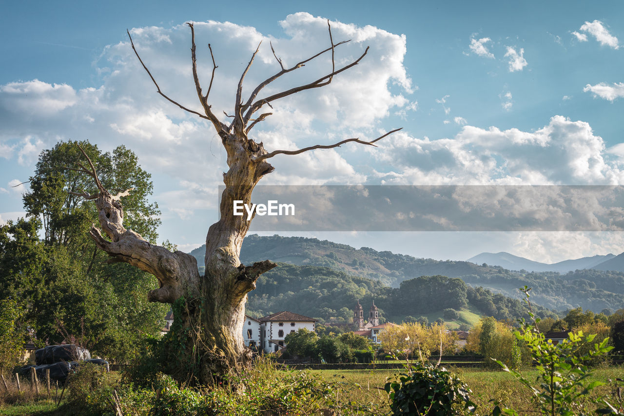 Scenic view of tree mountains against sky