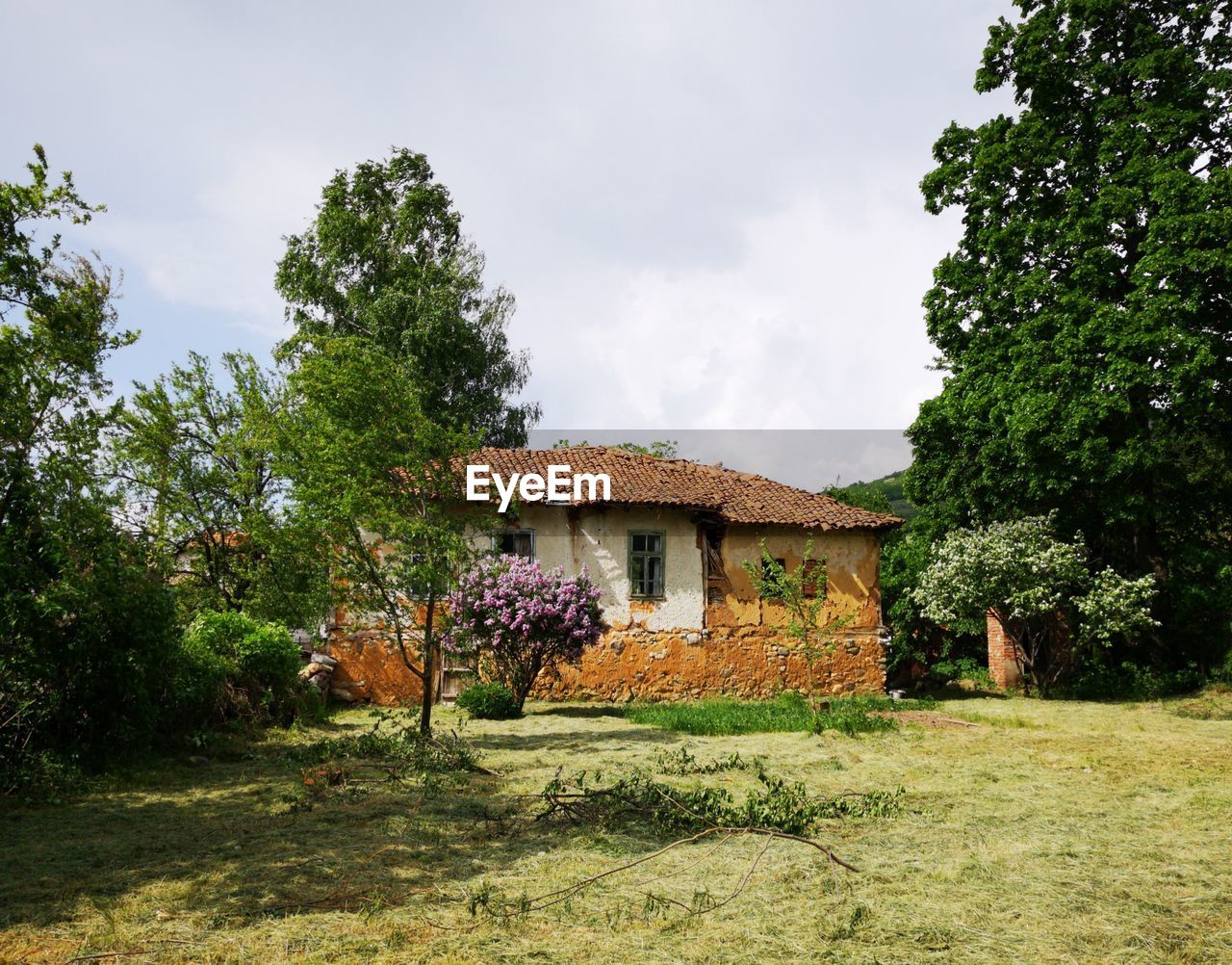 HOUSE AMIDST TREES AND PLANTS ON FIELD AGAINST SKY