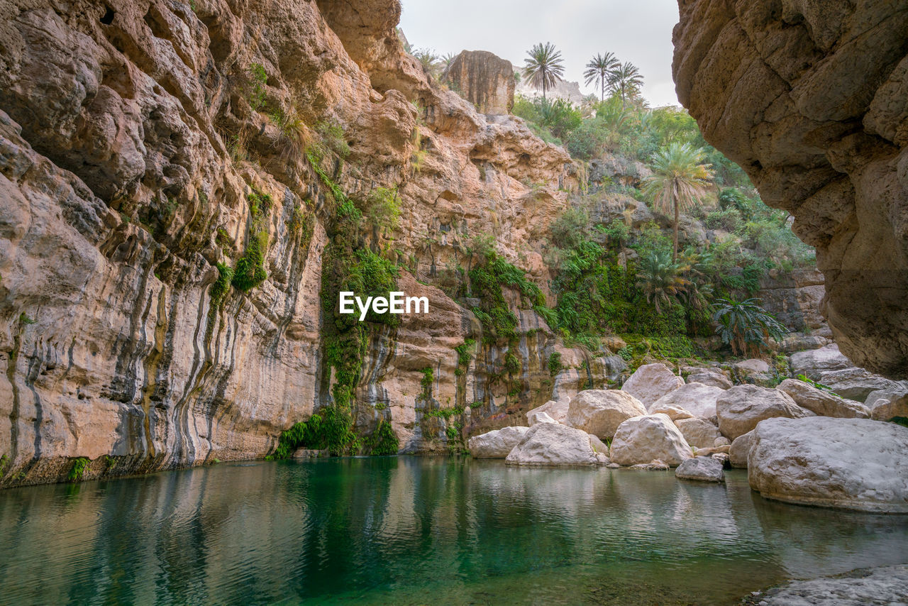 Beautiful natural pool in the gorge of wadi tiwi, oman. green water with cliffs and palms around it