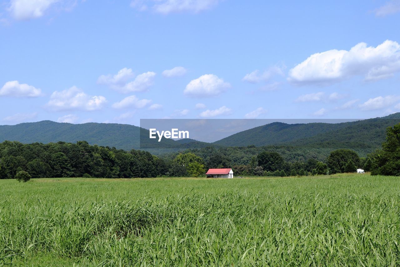 SCENIC VIEW OF AGRICULTURAL LANDSCAPE AGAINST SKY