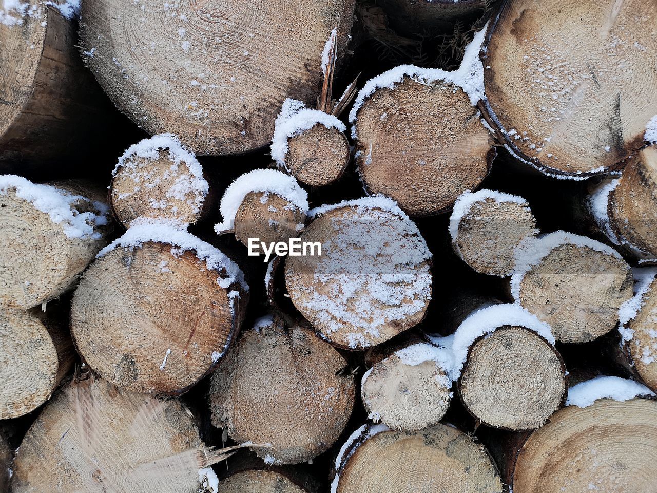 FULL FRAME SHOT OF LOGS