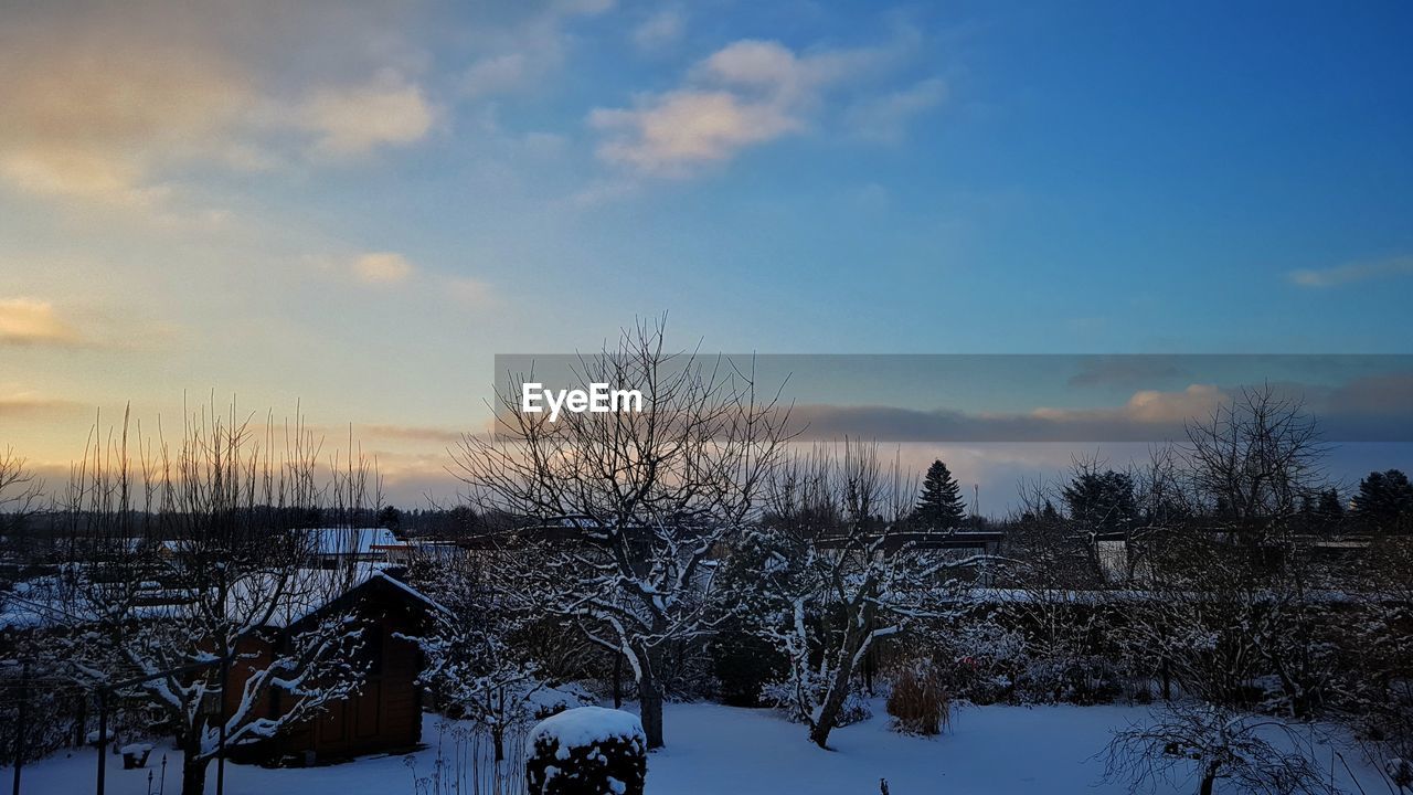 Bare trees on snow covered landscape against sky