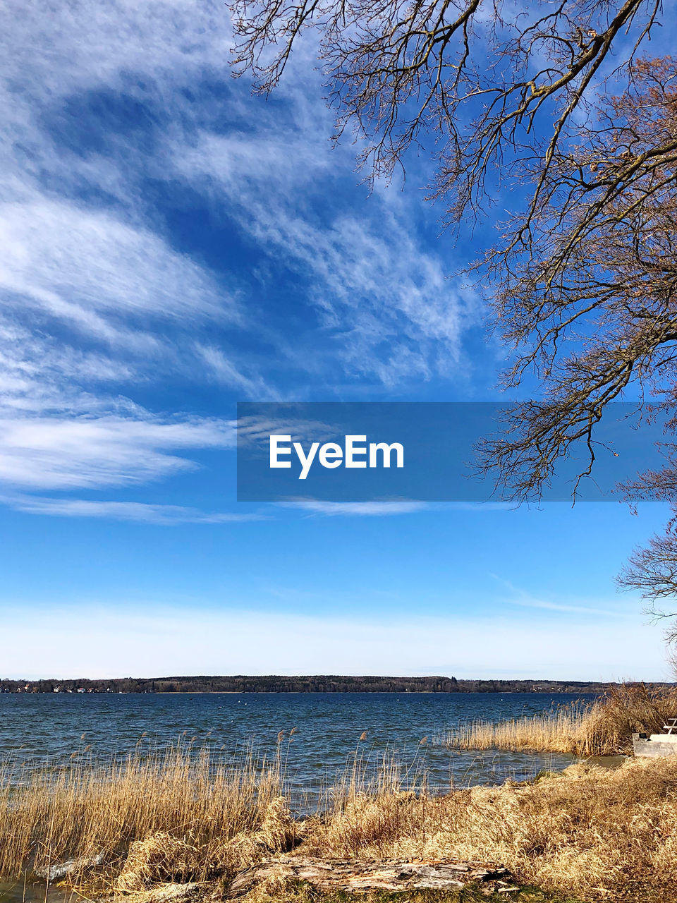 Scenic view of beach against blue sky