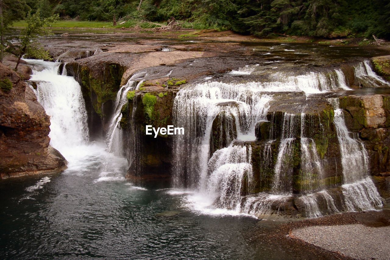 View of waterfall in forest