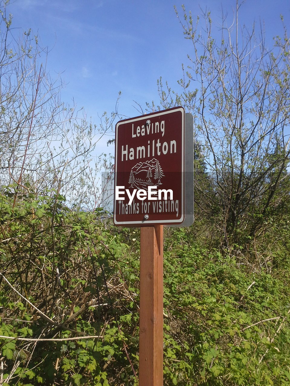 Information sign against trees