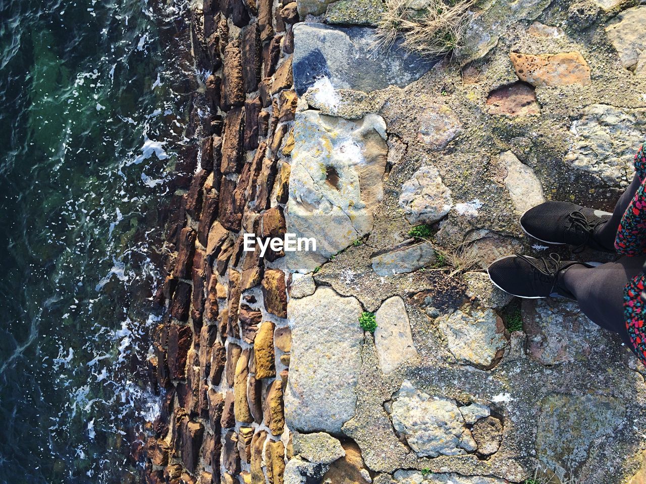 LOW SECTION OF MAN STANDING ON ROCK BY TREE