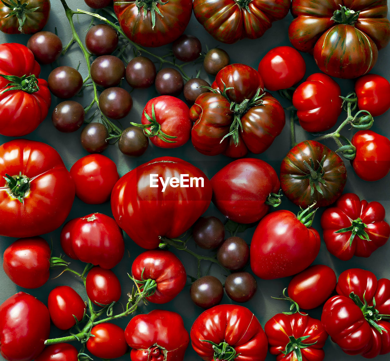 Colorful tomatoes of different sizes and varieties, in appearance, are a horizontal composition. 