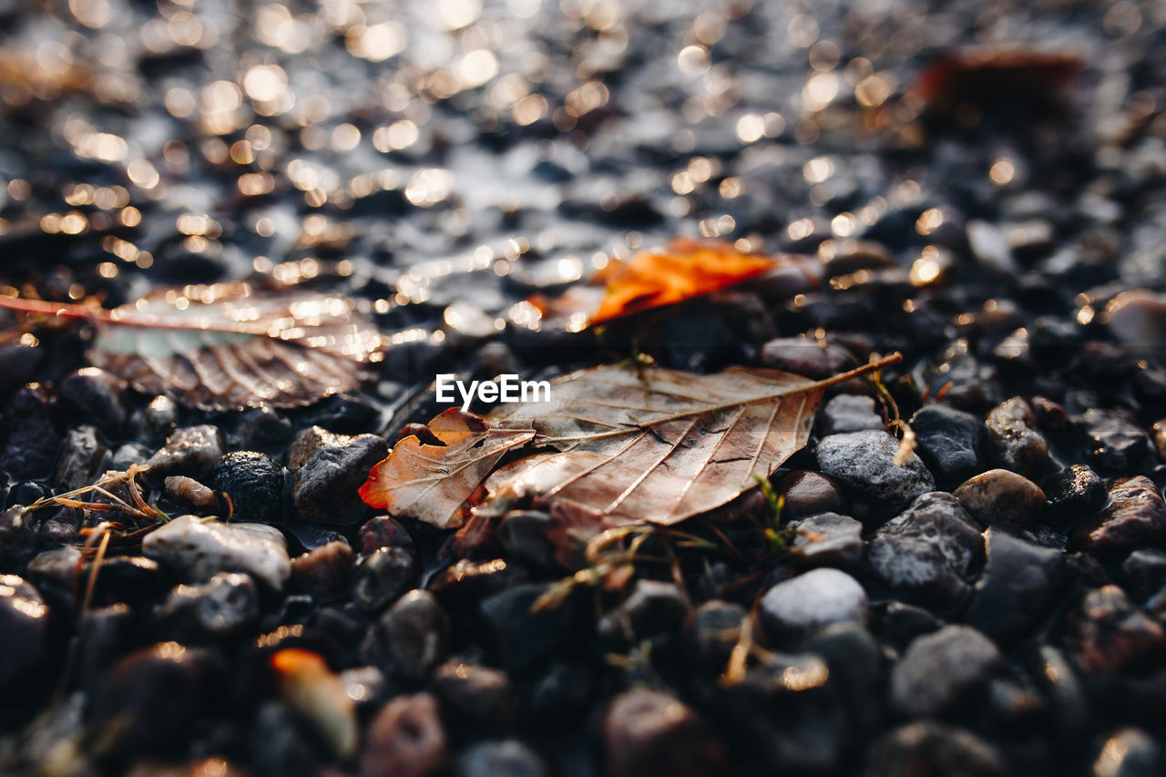 Surface level shot of pebbles at beach during sunset