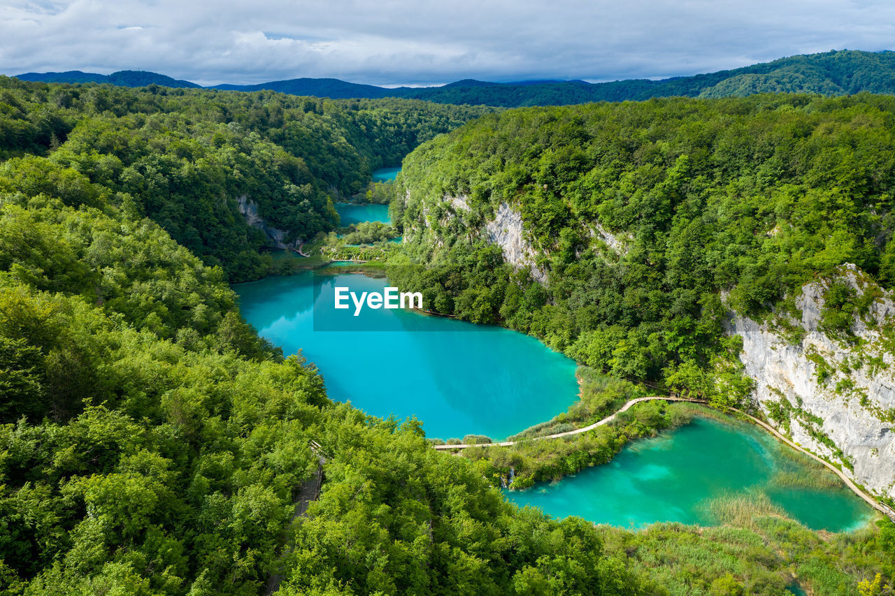 HIGH ANGLE VIEW OF SWIMMING POOL BY TREES