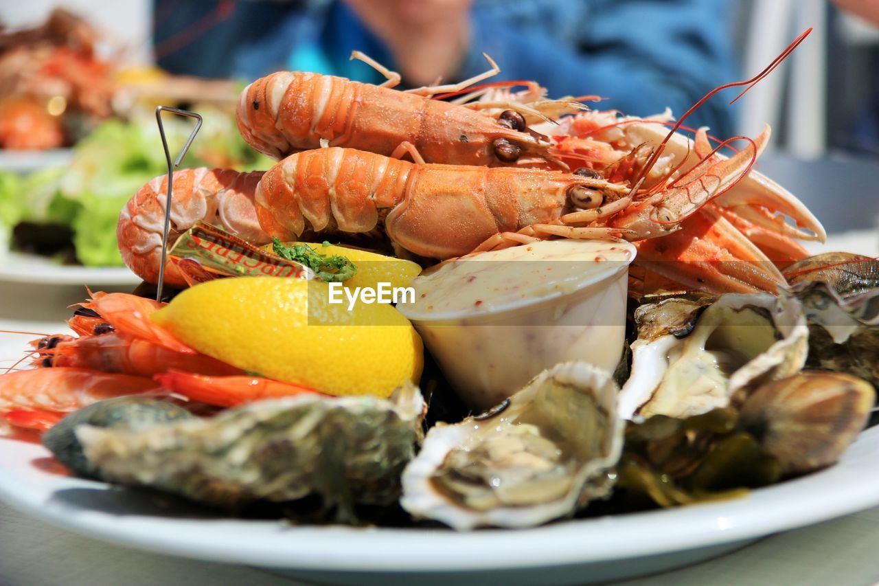 Close-up of food in plate