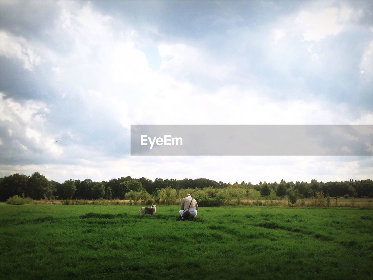 SCENIC VIEW OF GRASSY LANDSCAPE AGAINST CLOUDY SKY